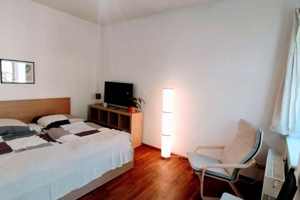 Modern Studio08 With Big Balcony In The Neustadt Dresden Ngoại thất bức ảnh
